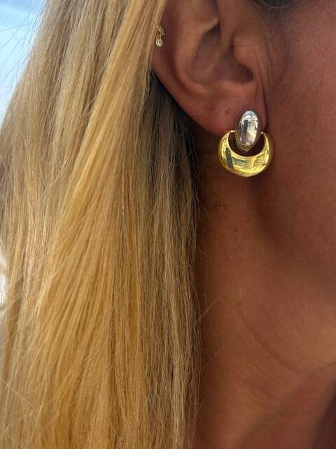 Double Colored Earrings 4351