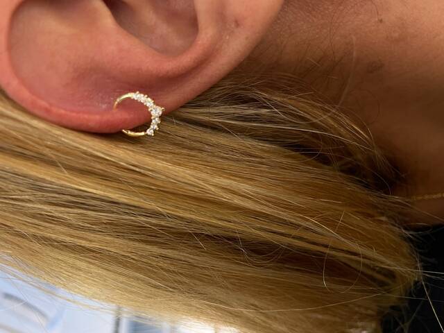 HELİX PİERCİNG Earrings 2498