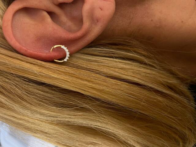 HELİX PİERCİNG Earrings 2499