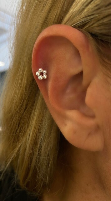 Shine_bypin - İNCİLİ GÜMÜŞ PIERCING