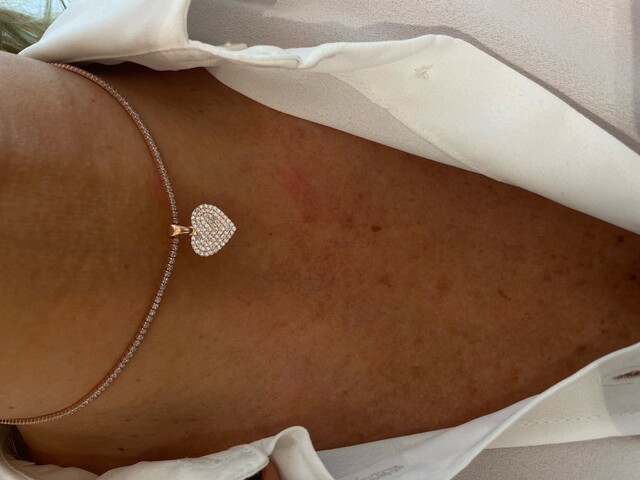 Shine_bypin - KALPLİ CHOKER SUYOLU ROSE KOLYE