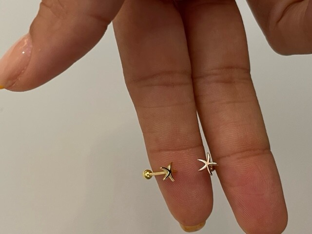 Shine_bypin - MİNİ DENİZ YILDIZI PIERCING