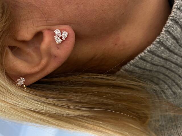 TRİA Drop Stone-set Rose Earrings